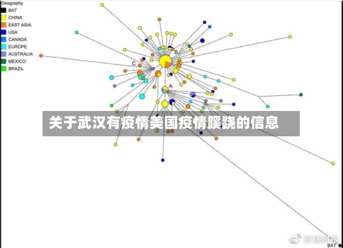 关于武汉有疫情美国疫情蹊跷的信息-第1张图片