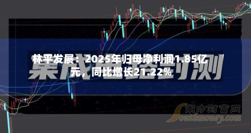 林平发展：2025年归母净利润1.85亿元，同比增长21.22%-第1张图片