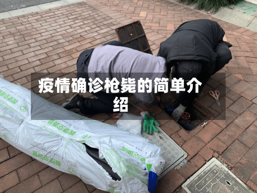 疫情确诊枪毙的简单介绍-第1张图片