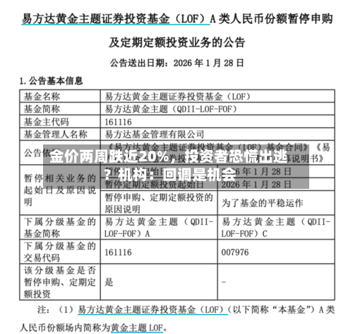 金价两周跌近20%，投资者恐慌出逃？机构：回调是机会-第2张图片