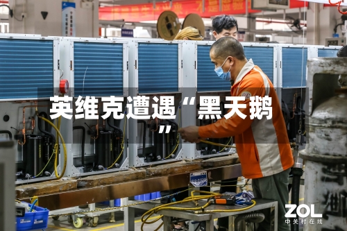 英维克遭遇“黑天鹅”-第1张图片