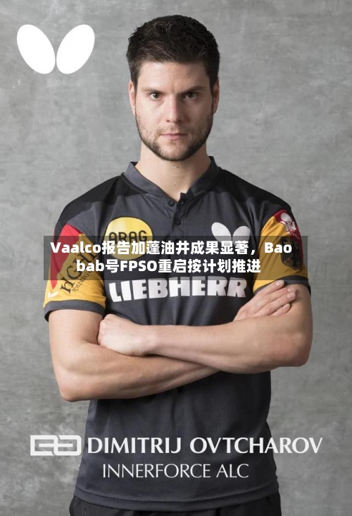 Vaalco报告加蓬油井成果显著，Baobab号FPSO重启按计划推进-第2张图片