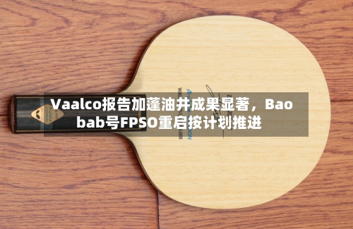 Vaalco报告加蓬油井成果显著，Baobab号FPSO重启按计划推进-第1张图片