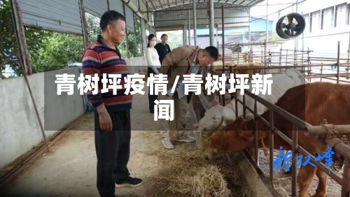青树坪疫情/青树坪新闻-第1张图片