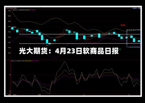 光大期货:4月23日软商品日报-第1张图片