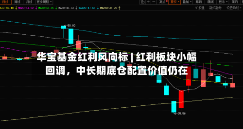 华宝基金红利风向标 | 红利板块小幅回调，中长期底仓配置价值仍在-第1张图片