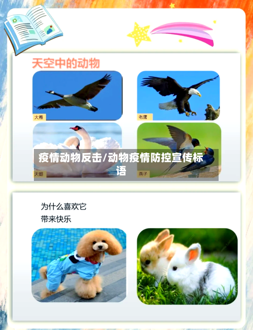 疫情动物反击/动物疫情防控宣传标语-第1张图片