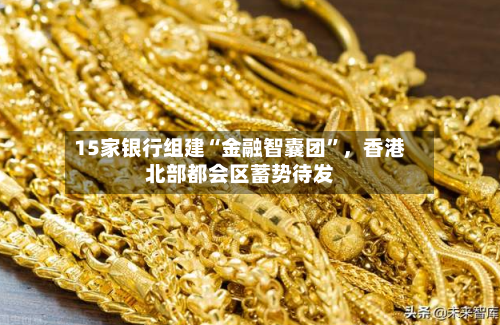 15家银行组建“金融智囊团	”，香港北部都会区蓄势待发-第2张图片