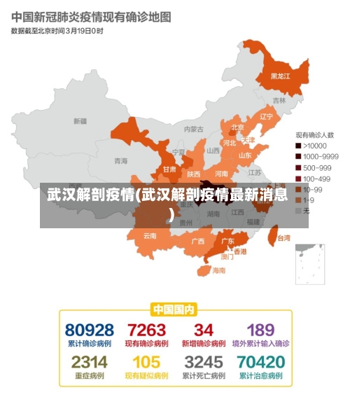 武汉解剖疫情(武汉解剖疫情最新消息)-第1张图片
