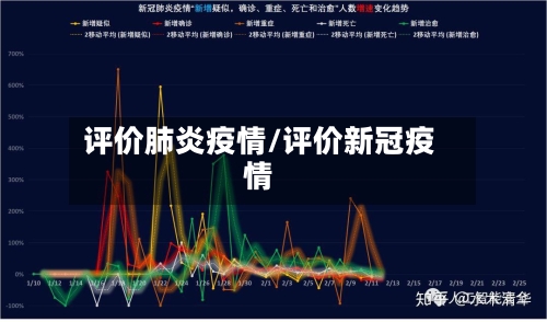 评价肺炎疫情/评价新冠疫情-第1张图片