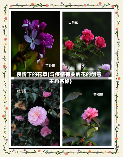 疫情下的花草(与疫情有关的花的创意主题名称)-第1张图片