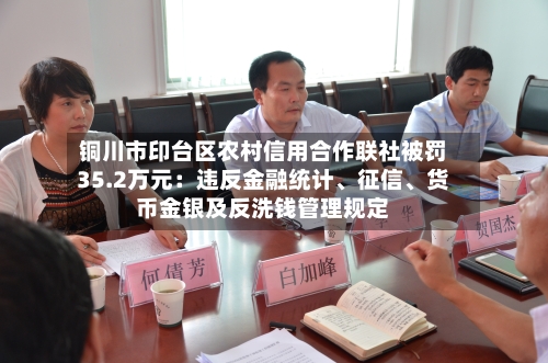 铜川市印台区农村信用合作联社被罚35.2万元：违反金融统计、征信、货币金银及反洗钱管理规定-第1张图片