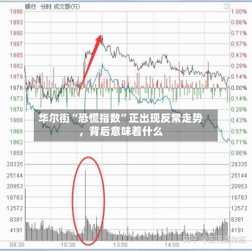 华尔街“恐慌指数”正出现反常走势，背后意味着什么-第2张图片