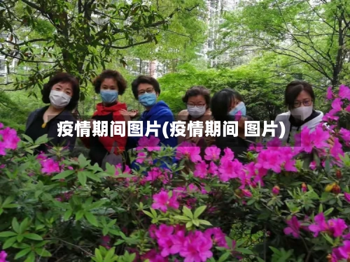 疫情期间图片(疫情期间 图片)-第1张图片
