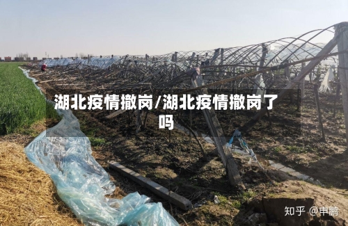 湖北疫情撤岗/湖北疫情撤岗了吗-第1张图片