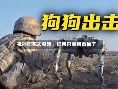 机器狗花式整活	，把两只真狗看懵了-第2张图片
