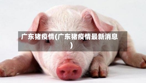 广东猪疫情(广东猪疫情最新消息)-第1张图片