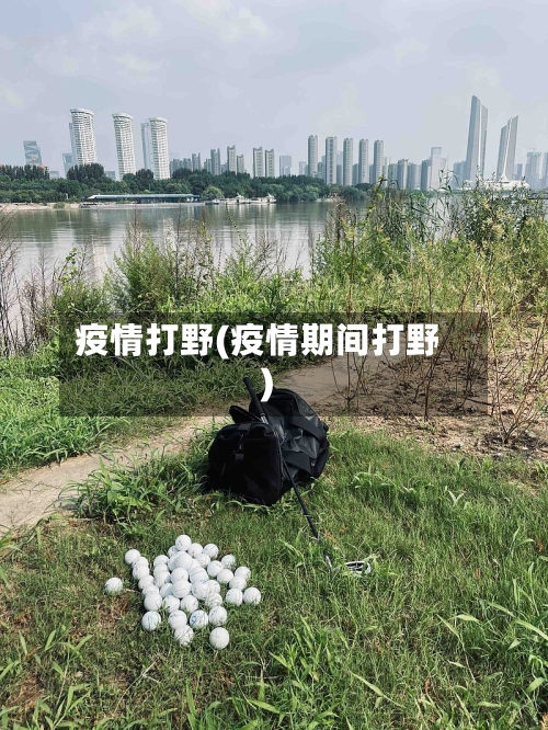疫情打野(疫情期间打野)-第1张图片