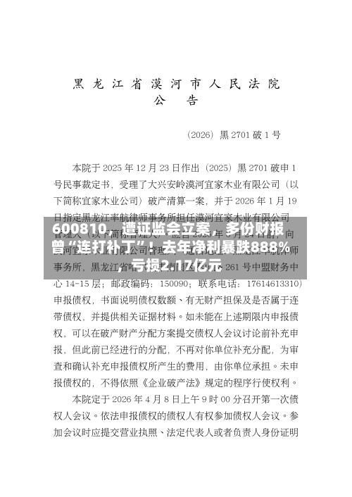 600810	，遭证监会立案，多份财报曾“连打补丁	”！去年净利暴跌888%，亏损2.17亿元-第1张图片