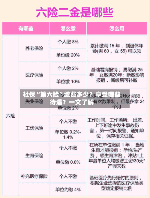 社保“第六险”缴费多少？享受哪些待遇？一文了解-第1张图片