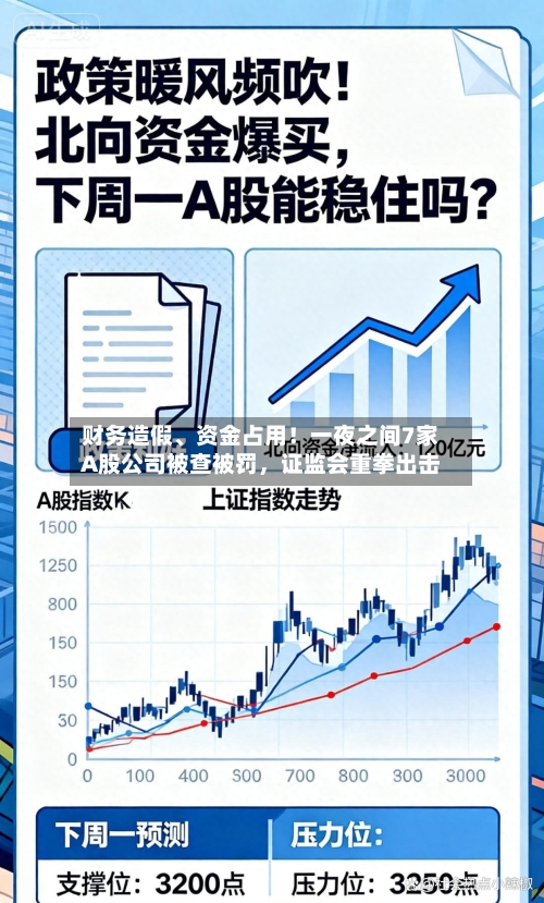 财务造假	、资金占用！一夜之间7家A股公司被查被罚	，证监会重拳出击-第1张图片