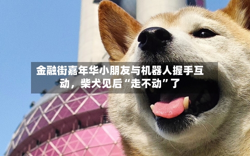 金融街嘉年华小朋友与机器人握手互动，柴犬见后“走不动”了-第3张图片