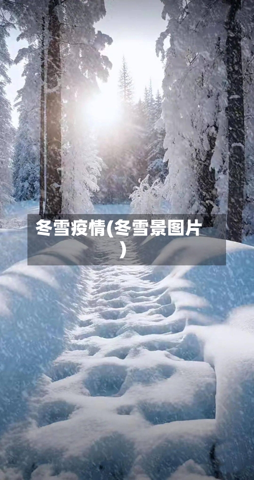冬雪疫情(冬雪景图片)-第1张图片