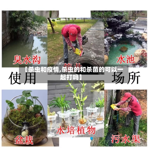 【杀虫和疫情,杀虫的和杀菌的可以一起打吗】-第1张图片