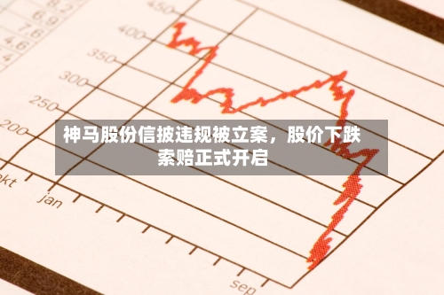 神马股份信披违规被立案，股价下跌索赔正式开启-第3张图片