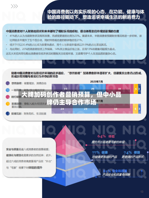 大牌加码创作者营销预算	，但中小品牌仍主导合作市场-第1张图片