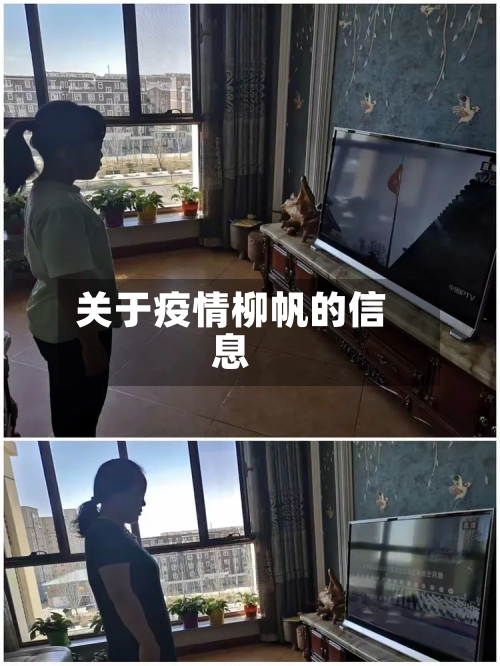 关于疫情柳帆的信息-第1张图片