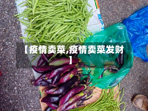 【疫情卖菜,疫情卖菜发财】-第1张图片