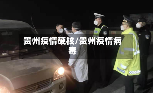 贵州疫情硬核/贵州疫情病毒-第1张图片