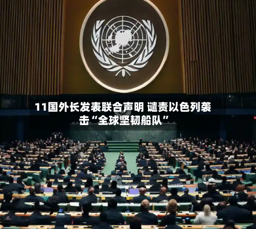 11国外长发表联合声明 谴责以色列袭击“全球坚韧船队”-第1张图片