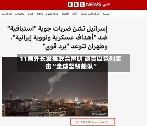 11国外长发表联合声明 谴责以色列袭击“全球坚韧船队	”-第2张图片