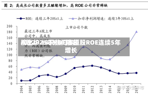 A股2025年ROE排名榜出炉 15只热门赛道股ROE连续5年增长-第1张图片