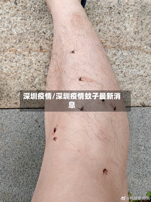 深圳疫情/深圳疫情蚊子最新消息-第1张图片