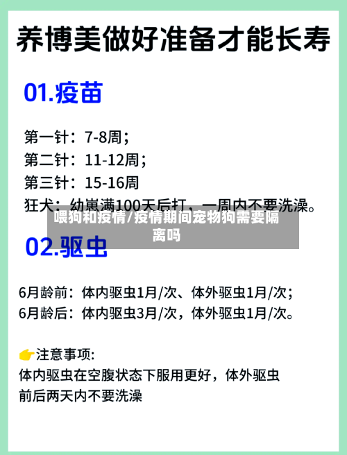 喂狗和疫情/疫情期间宠物狗需要隔离吗-第3张图片