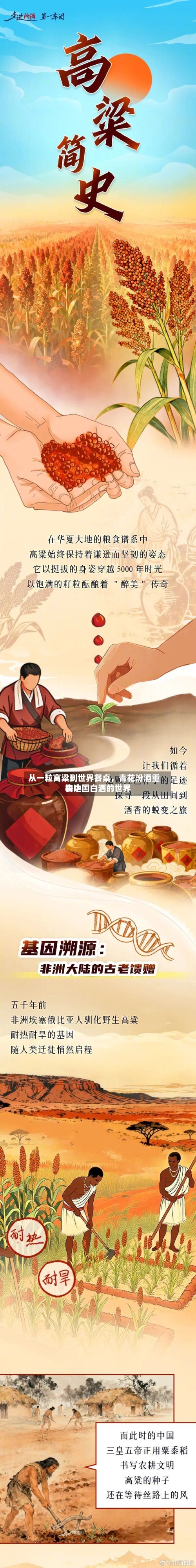 从一粒高粱到世界餐桌	，青花汾酒重构中国白酒的世界表达-第1张图片
