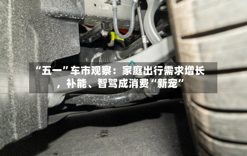 “五一”车市观察：家庭出行需求增长，补能、智驾成消费“新宠	”-第2张图片