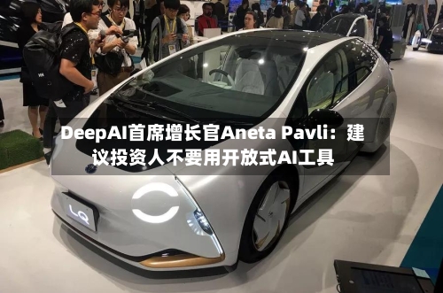 DeepAI首席增长官Aneta Pavli:建议投资人不要用开放式AI工具-第2张图片