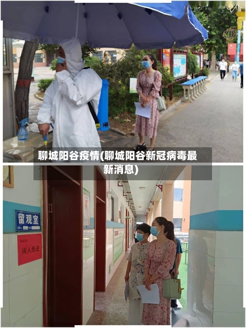 聊城阳谷疫情(聊城阳谷新冠病毒最新消息)-第1张图片