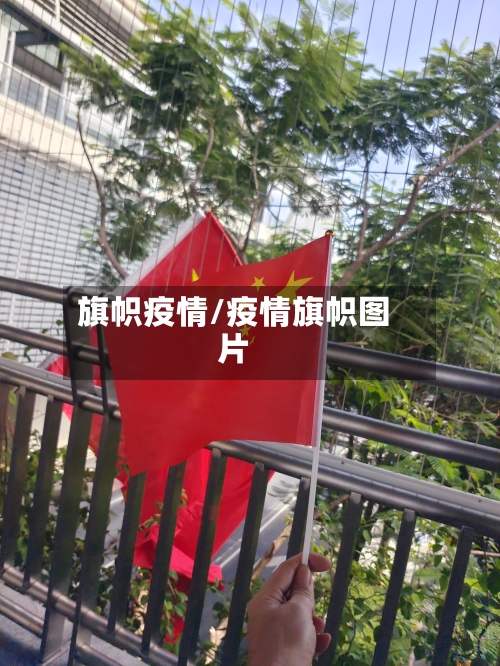 旗帜疫情/疫情旗帜图片-第1张图片