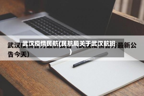 武汉疫情民航(民航局关于武汉航班)-第2张图片