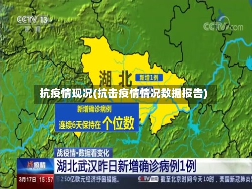 抗疫情现况(抗击疫情情况数据报告)-第1张图片