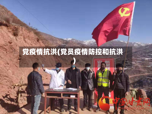 党疫情抗洪(党员疫情防控和抗洪)-第3张图片
