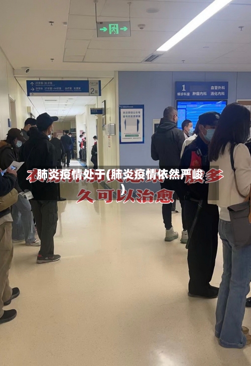 肺炎疫情处于(肺炎疫情依然严峻)-第2张图片