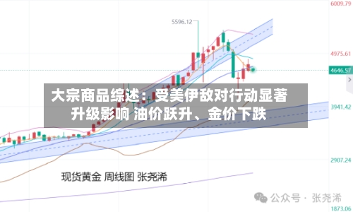大宗商品综述：受美伊敌对行动显著升级影响 油价跃升、金价下跌-第1张图片