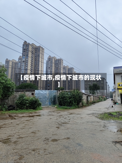 【疫情下城市,疫情下城市的现状】-第2张图片
