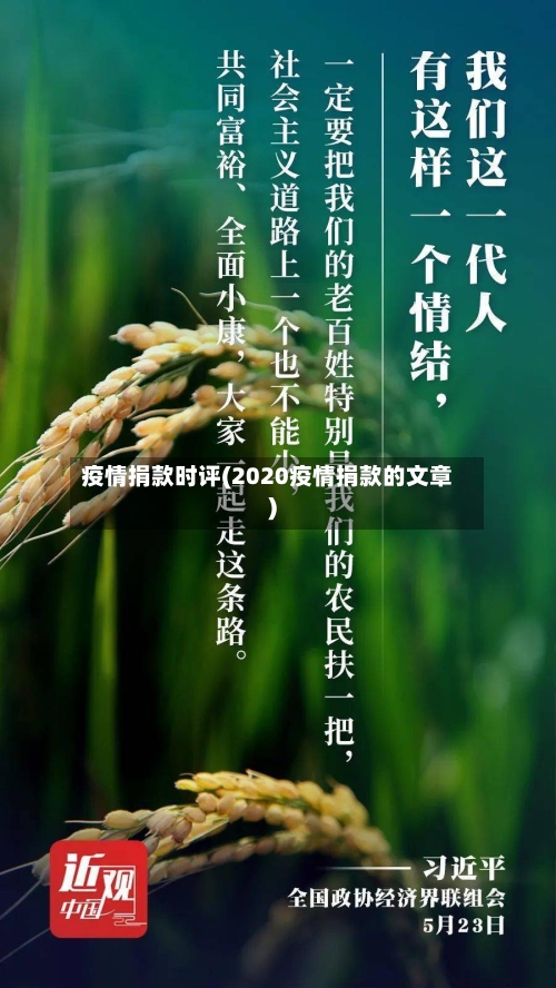 疫情捐款时评(2020疫情捐款的文章)-第1张图片